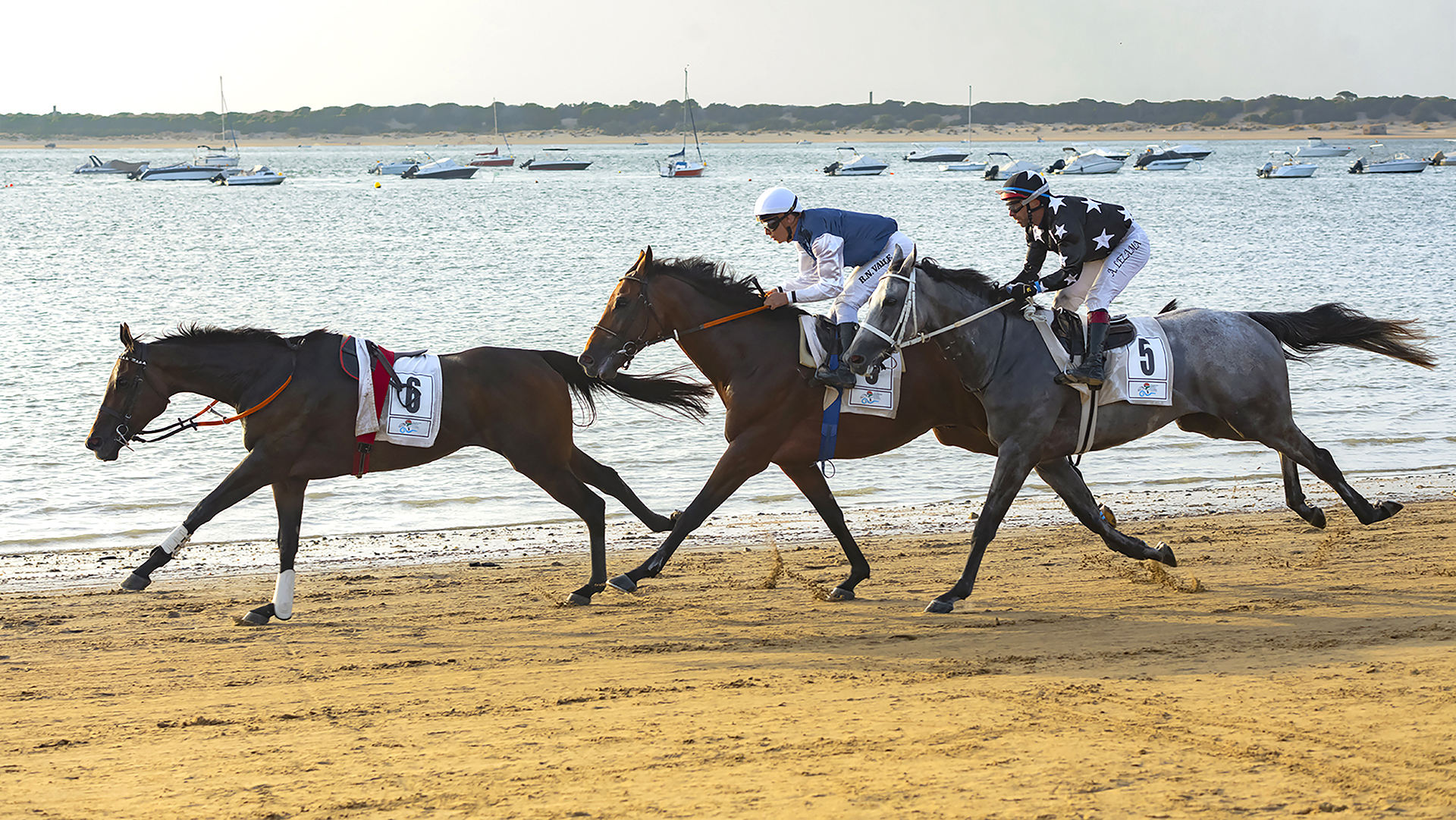 2025. OCTUBRE. TEMA: 